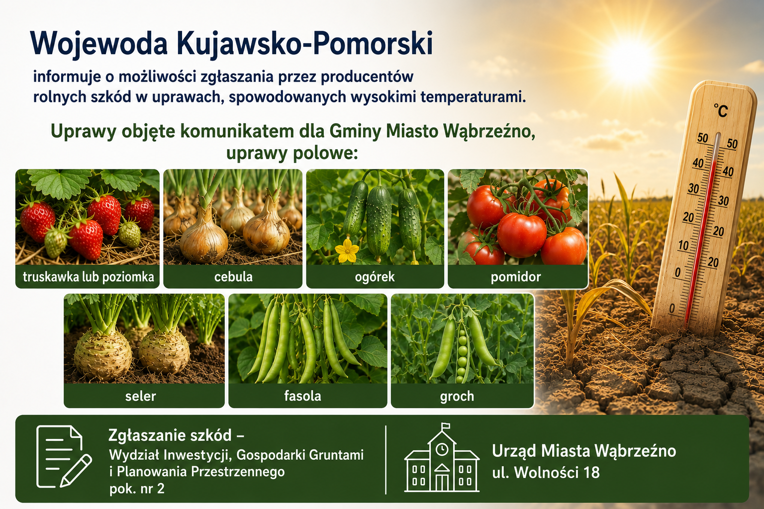 Zgłaszanie szkód w uprawach